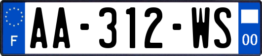 AA-312-WS