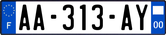 AA-313-AY