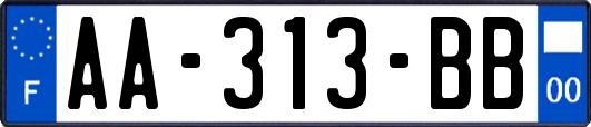 AA-313-BB