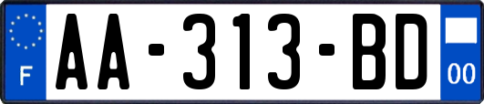 AA-313-BD