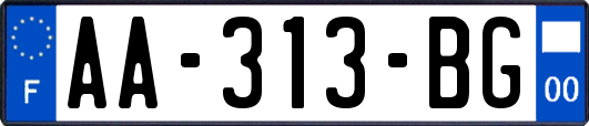 AA-313-BG