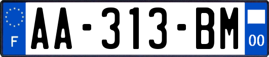 AA-313-BM