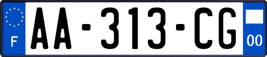 AA-313-CG