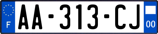 AA-313-CJ