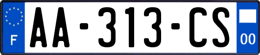 AA-313-CS