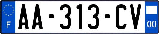 AA-313-CV