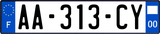 AA-313-CY