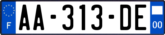 AA-313-DE