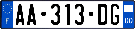 AA-313-DG