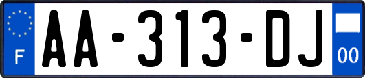 AA-313-DJ