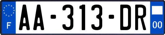 AA-313-DR