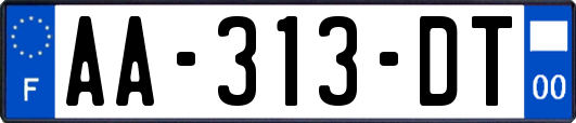 AA-313-DT