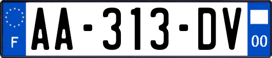 AA-313-DV