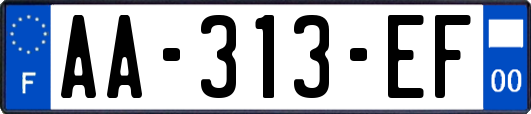 AA-313-EF