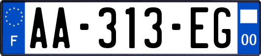 AA-313-EG