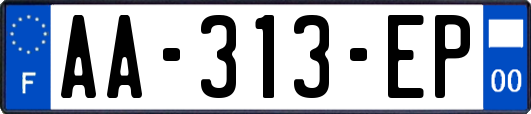 AA-313-EP