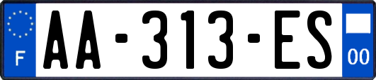 AA-313-ES