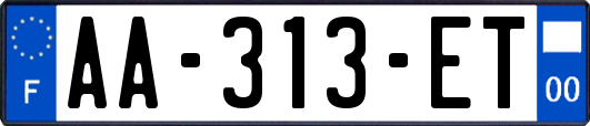 AA-313-ET