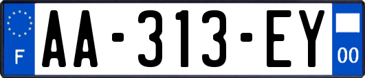 AA-313-EY