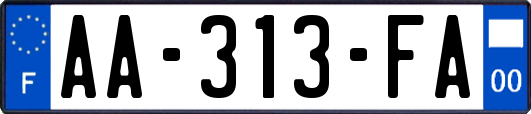 AA-313-FA
