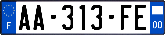 AA-313-FE