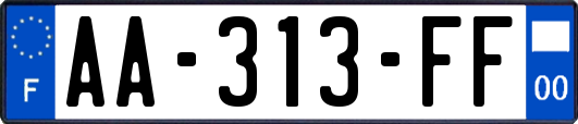 AA-313-FF