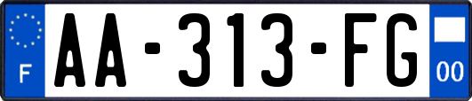 AA-313-FG