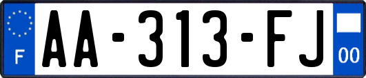 AA-313-FJ