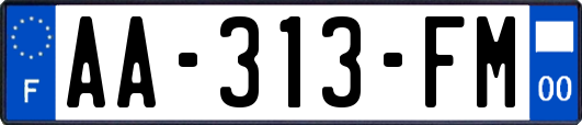 AA-313-FM