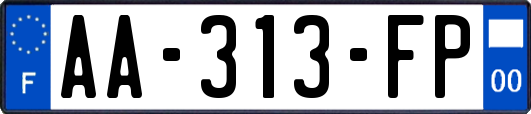 AA-313-FP