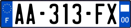 AA-313-FX