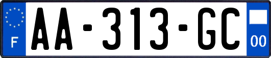 AA-313-GC