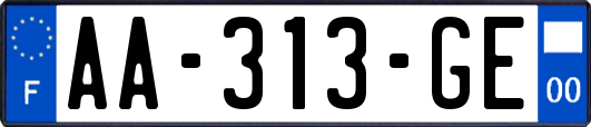 AA-313-GE