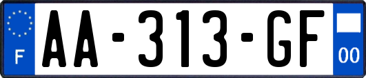 AA-313-GF