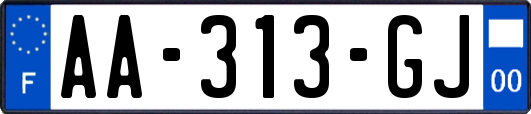 AA-313-GJ