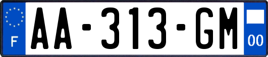 AA-313-GM