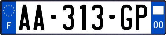 AA-313-GP