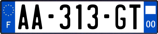 AA-313-GT