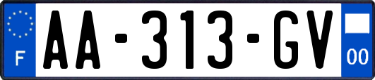 AA-313-GV