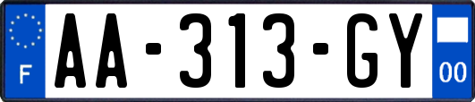 AA-313-GY