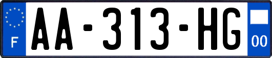 AA-313-HG