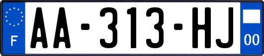 AA-313-HJ