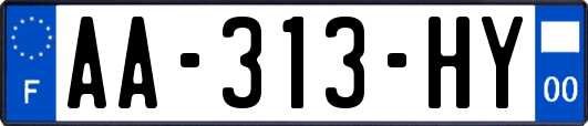 AA-313-HY