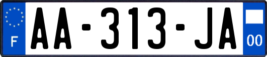 AA-313-JA