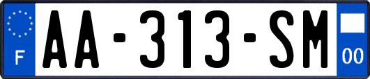 AA-313-SM