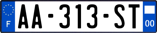 AA-313-ST