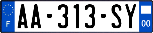 AA-313-SY