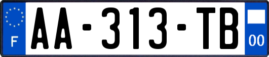 AA-313-TB