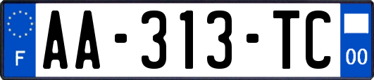 AA-313-TC