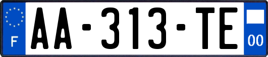 AA-313-TE